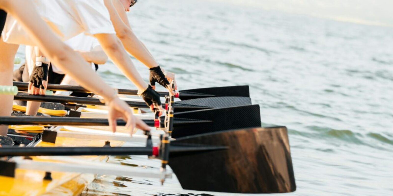 oar_1