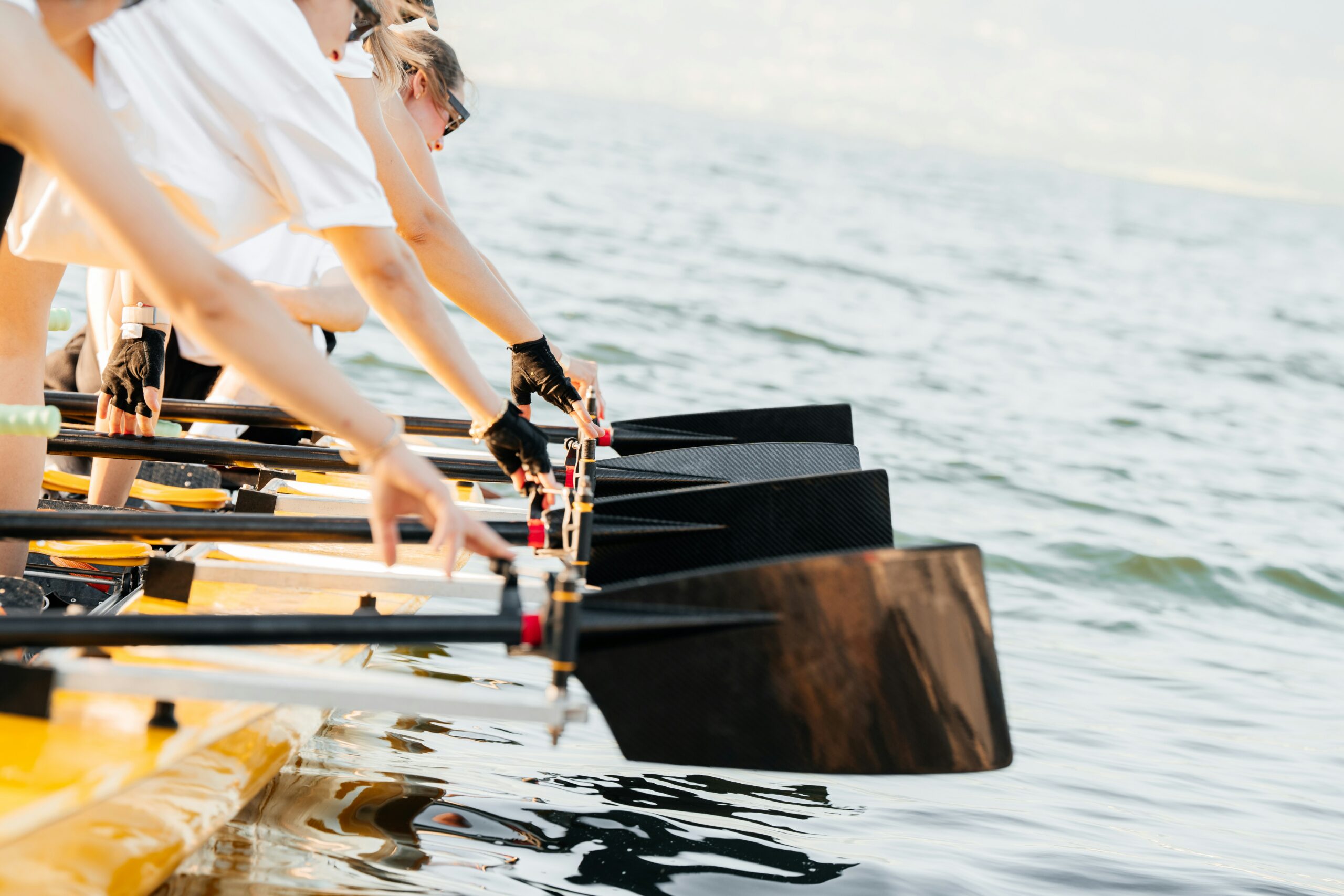 oar_1